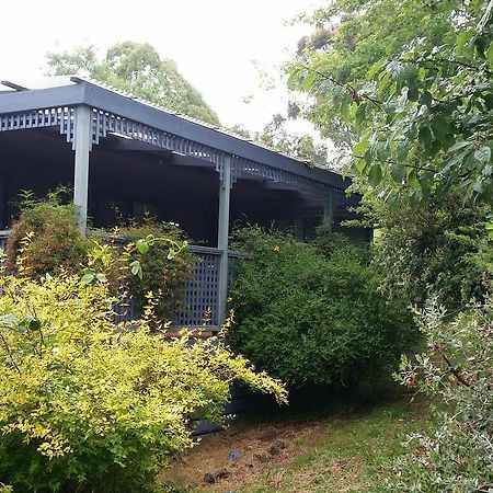 View Mount Sawmill Settlement Exterior foto
